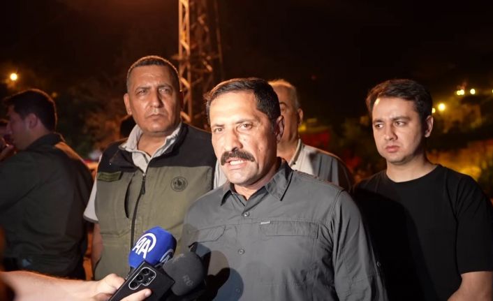 Hatay’daki orman yangınıyla ilgili Vali Masatlı’dan açıklama: "Şu an itibarıyla can ve mal kaybımız söz konusu değil"