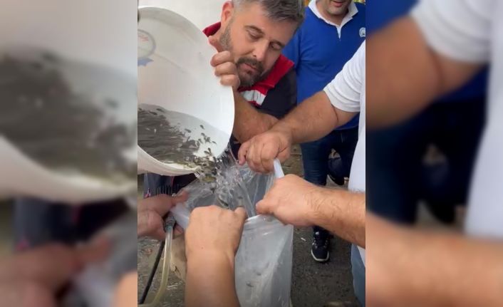 Hayrabolu’da göle 200 bin yavru sazan bırakıldı
