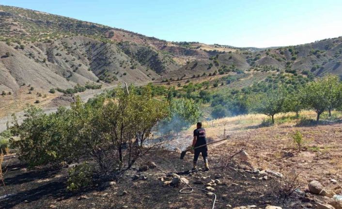 Hekimhan’da ormanlık alanda çıkan yangın söndürüldü
