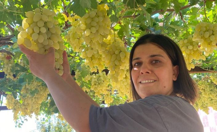 Hem mahallenin muhtarı hem bağın sultanı