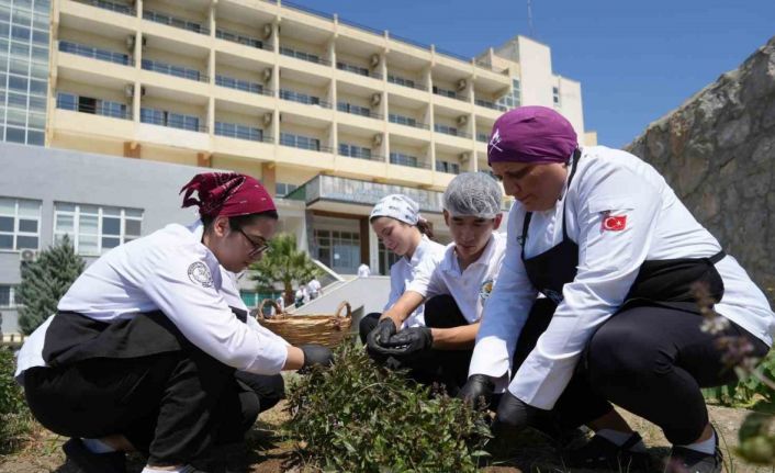 Hem serinletici, hem de sağlıklı