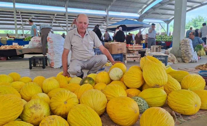 Hisarcık’ta yerli kavun 20 TL’den tezgâhta yerini aldı
