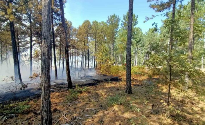 Honaz’daki orman yangınına karadan ve havadan müdahale ediliyor