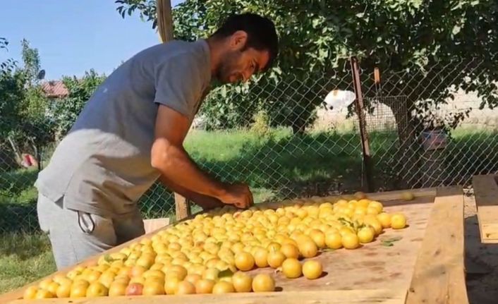 Iğdır’da güneşte kurutulan meyveler pazarda satılıyor