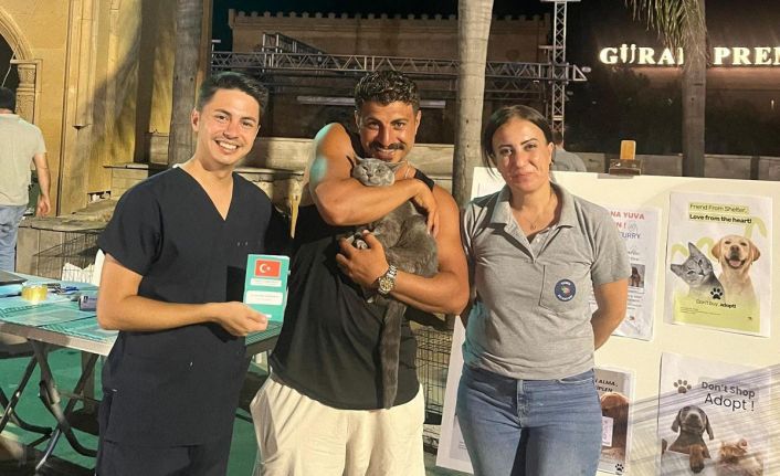 İki konserde 15 evcil hayvan sahiplendirildi