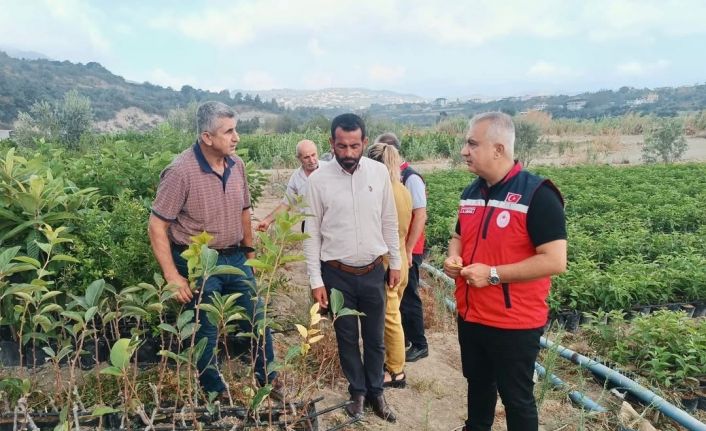 İl Tarım Müdürü Türkmen, fidan üretim sahalarını inceledi