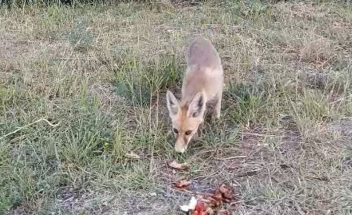 İlhan öğretmenden anlamlı davranış