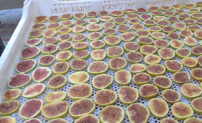 İncir cipsi sofraların yeni gözdesi oldu