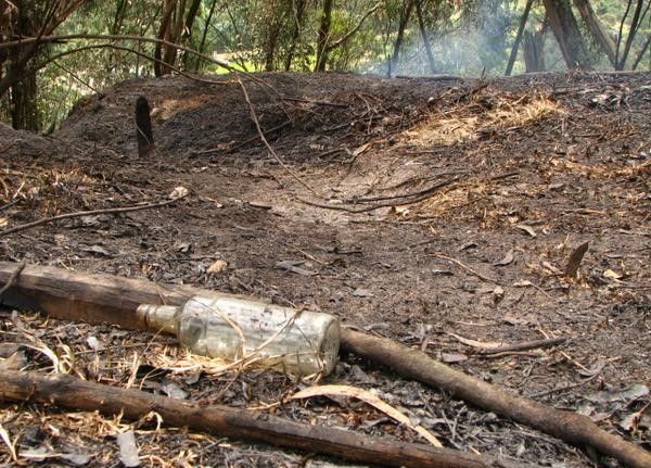 İspanya 14 farklı noktada orman yangını: 7 ölü