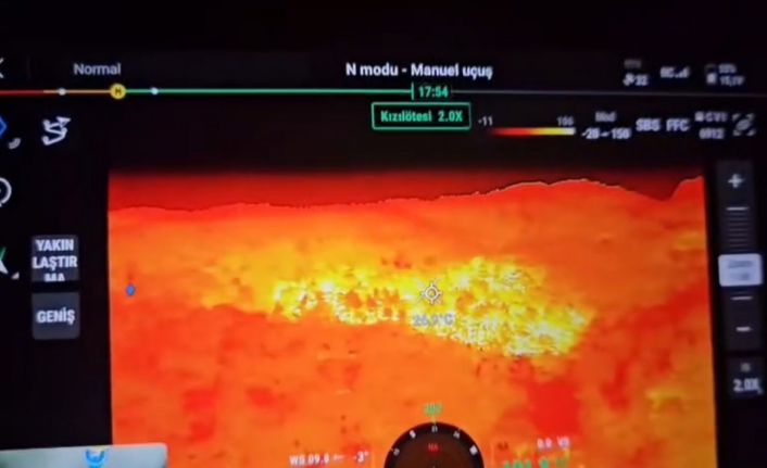 Isparta’da çıkan orman yangını büyümeden söndürüldü