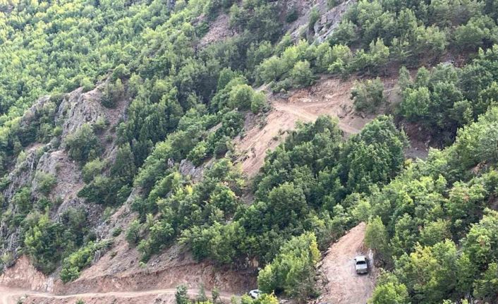 İspir’de bitki örtüsü yangını korkuttu