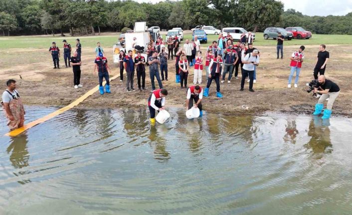 İstanbul’daki göletlere 3,7 milyon yerli üretim sazan yavrusu bırakıldı