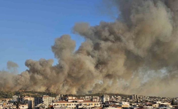 İzmir Buca’da orman yangını