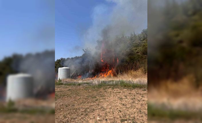 İzmir Menderes’te orman yangını