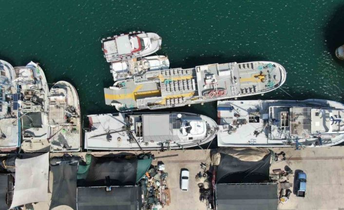 İzmir’de deniz kirliliği balığı vurdu: Sardalyasız sezon kapıda