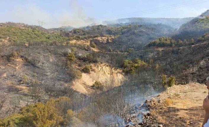 İzmir’deki yangınlar kontrol altına alındı