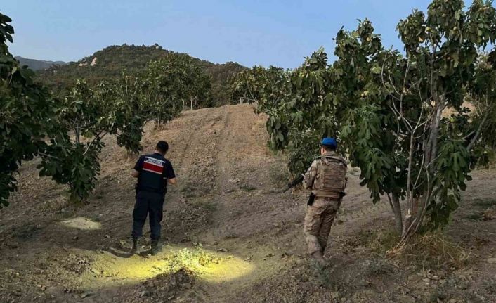 Jandarma incir hırsızlarına geçit vermiyor