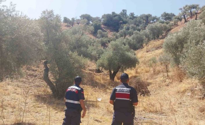 Jandarmadan hava destekli orman denetimi