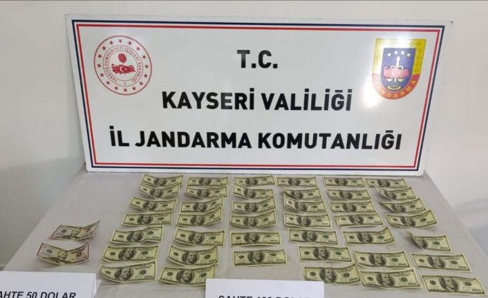 Jandarmadan sahte döviz operasyonu