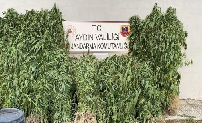 Jandarmadan uyuşturucu operasyonu: 17 yakalama