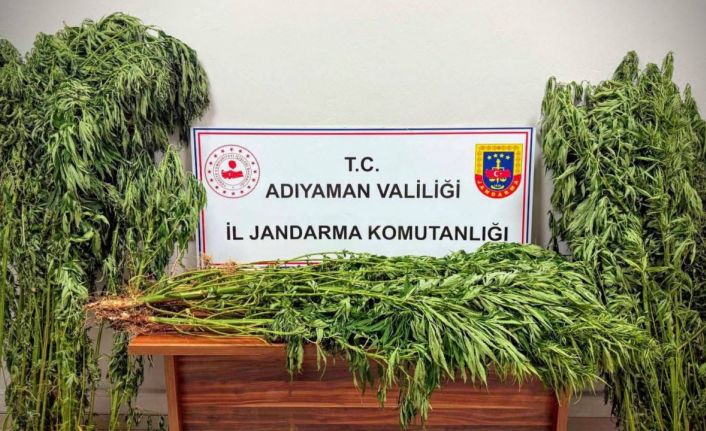 Jandarmadan uyuşturucu operasyonu: 9 gözaltı