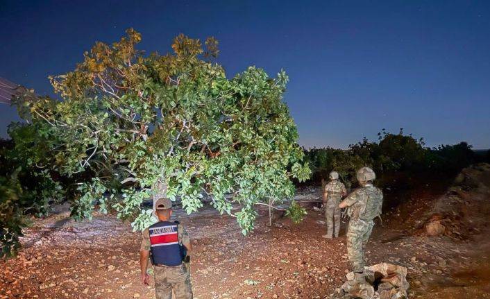 Jandarmanın fıstık nöbeti başladı