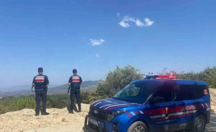 Jandarmanın orman devriyesi sürüyor