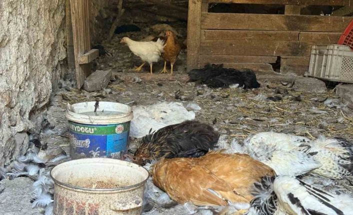 Kadın girişimcinin 22 yıllık emeği bir gecede yok oldu