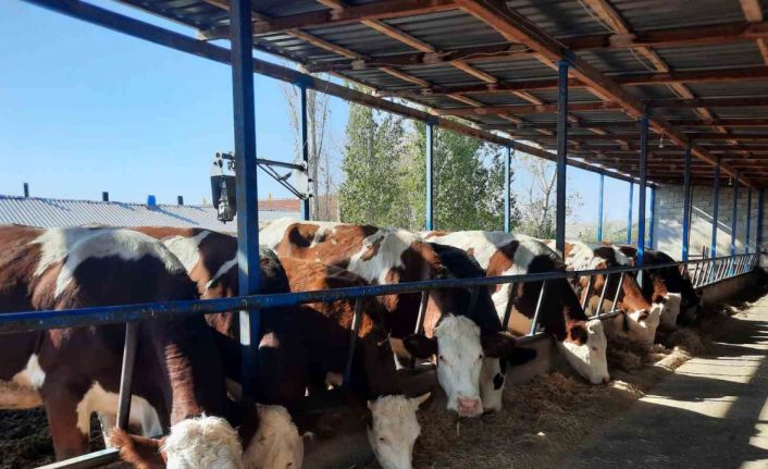 Kadınlara verilen destekler, meyvelerini vermeye başladı