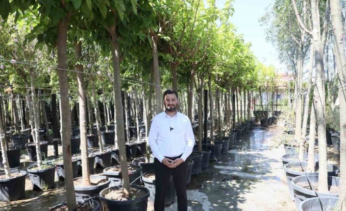 Kağıthane’ye 50 bin ağaç ve 1 milyon metrekare yeşil alan kazandırıldı