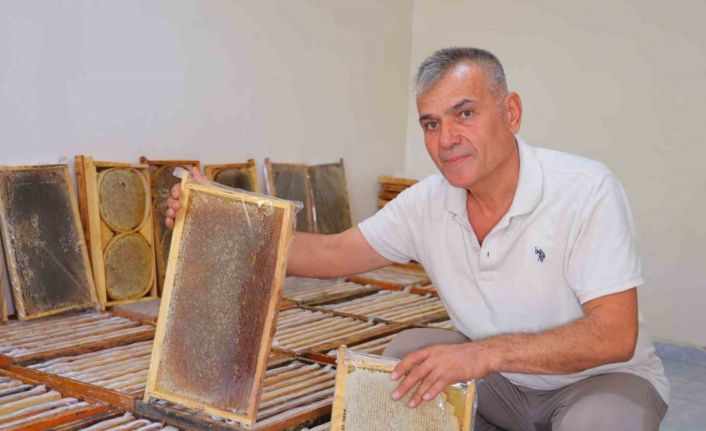 Kahramanmaraş’ta bu yıl 10 bin tonunun üzerinde bal rekoltesi bekleniyor