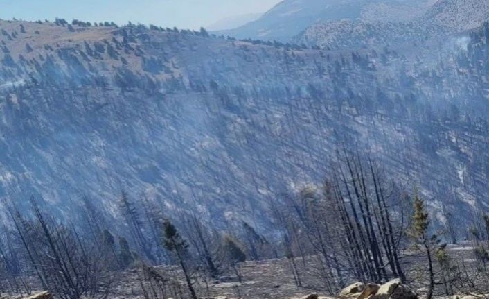 Kahramanmaraş’taki orman yangını sürüyor