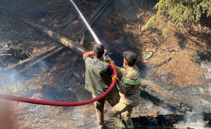 Kahramanmaraş’taki orman yangınına müdahale sürüyor