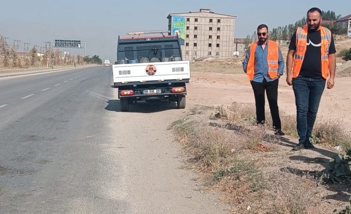 Kamyonetin çarptığı buzağı telef oldu