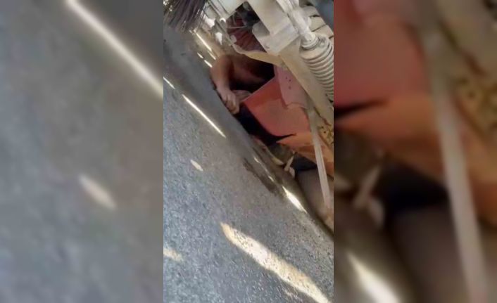 Kamyonun altında kalan motosiklet sürücüsünü kurtarmak için seferber oldular