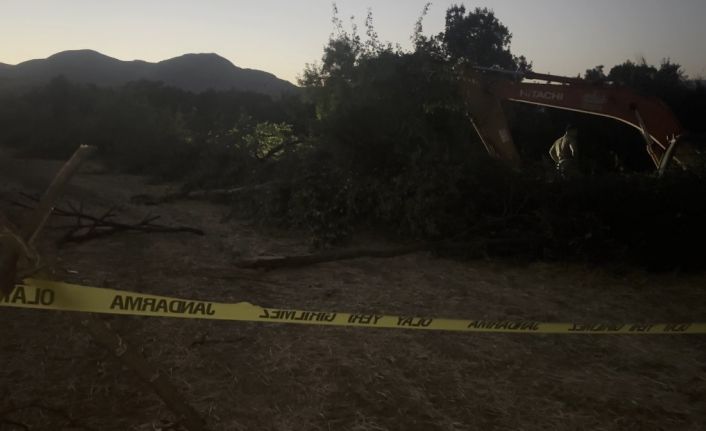 Kanal çalışması sırasında devrilen ağacın altında kalan kişi öldü