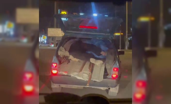 Kapağı açık bagajda yük üzerinde yolculuk yaptı