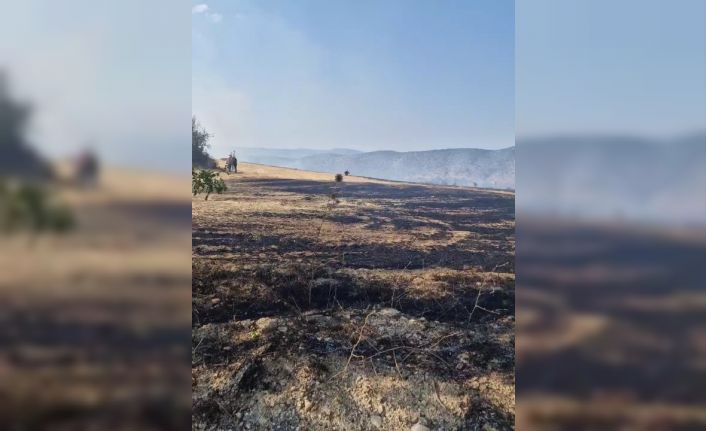 Karabük’te çıkan anız yangını kontrol altına alındı