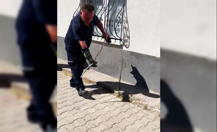 Karabük’te doğalgaz kutusuna giren yılan yakalandı