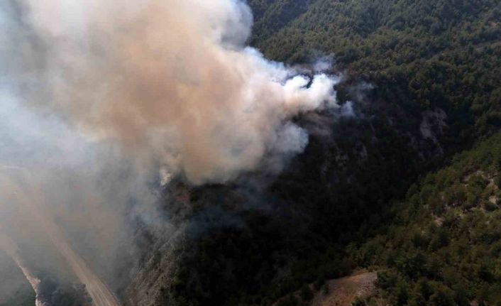 Karabük’te orman yangını çıktı