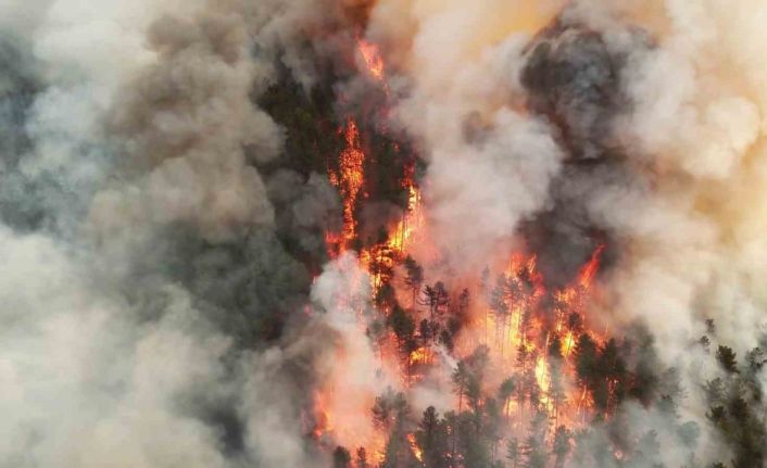 Karabük’te orman yangını nedeniyle bir mahalle boşaltıldı