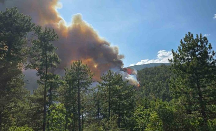 Karabük’te orman yangını rüzgarın etkisiyle büyüyor