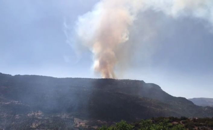 Karaman’da çıkan orman yangınına havadan ve karadan müdahale ediliyor