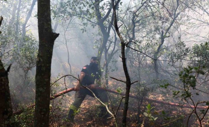 Karamürsel yangını için seferberlik ilan edildi