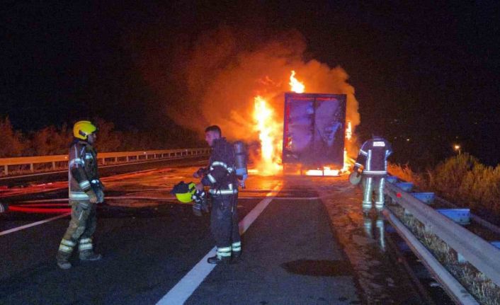 Kargo kamyonu otoyolda alev aldı