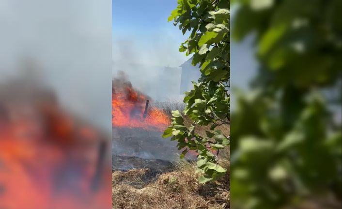 Karmürsel’den sonra Kandıra’da da yangın başladı