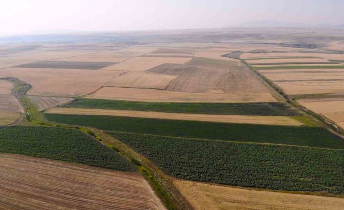 Kars’ta tarım arazileri halı deseni gibi rengarenk