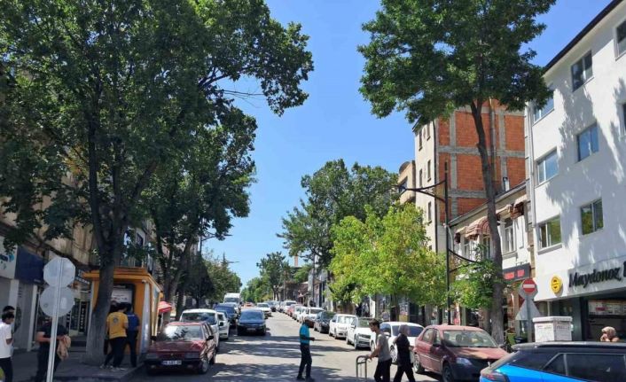 Kars’ta trafiğe kayıtlı araç sayısı 53 bini geçti