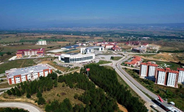 Kastamonu Üniversitesi, tayların bağışıklık sistemi üzerinde araştırma yapacak
