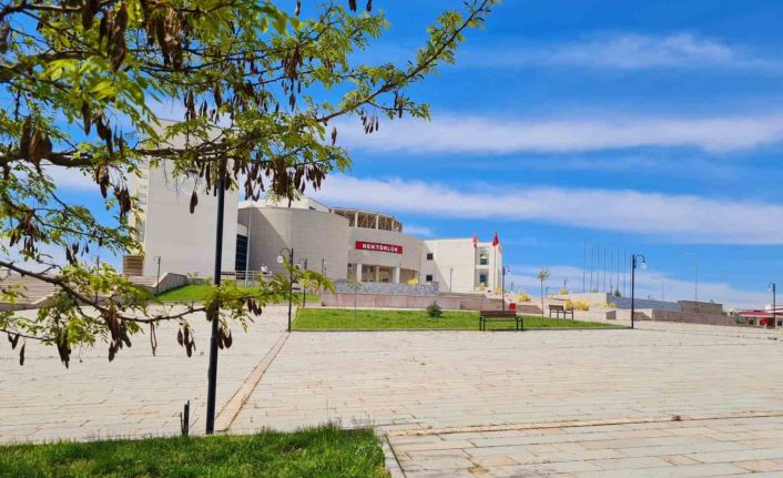 Kastamonu Üniversitesi Tıp Fakültesi, meme kanserinde hormon tedavisini araştıracak